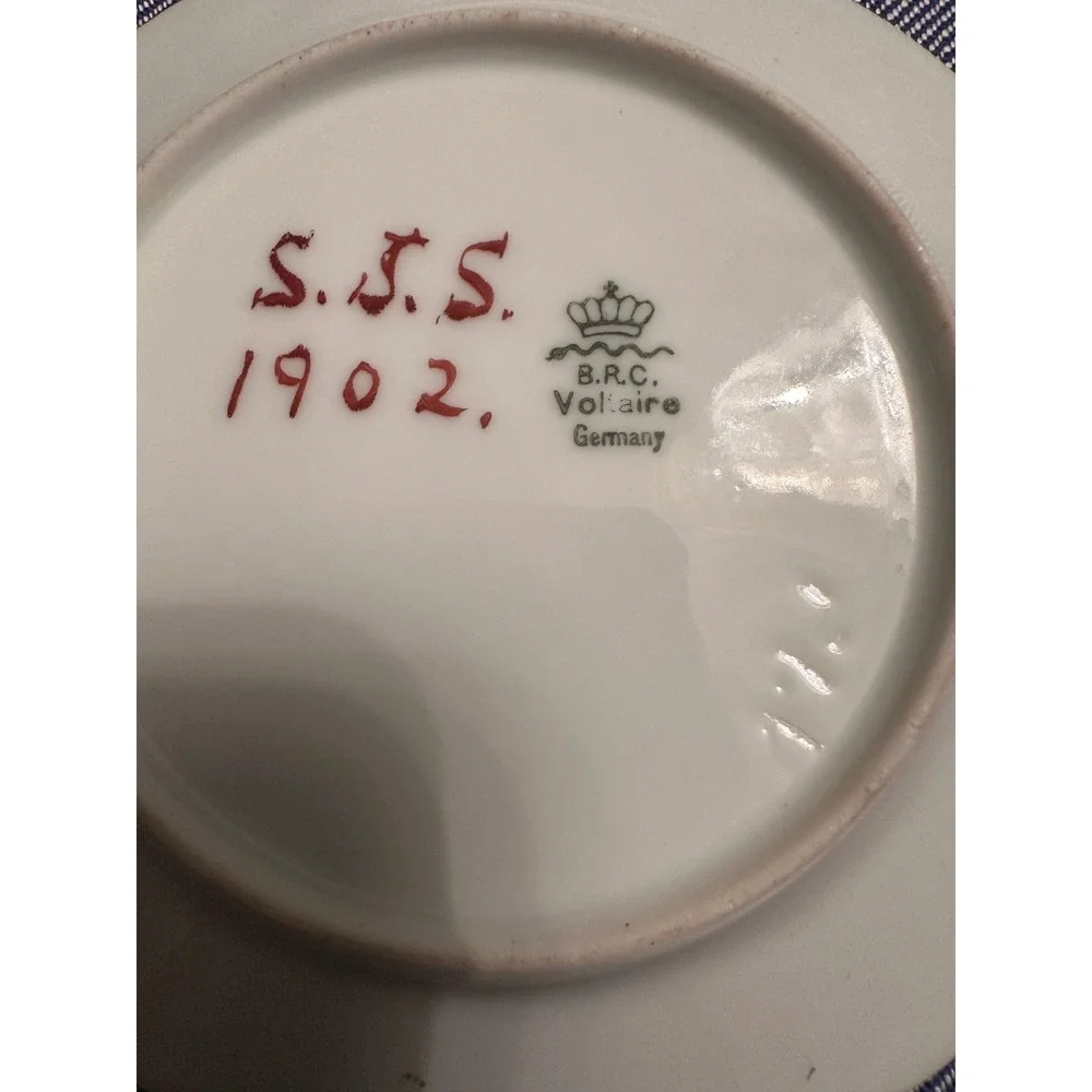 Antique B.R.C. Voltaire Germany‎ Hand Painted Floral Plate 1902